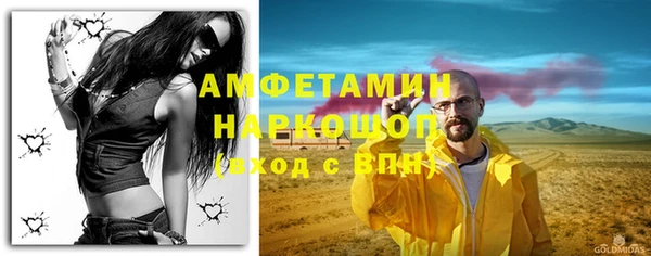 прущие грибы Медвежьегорск