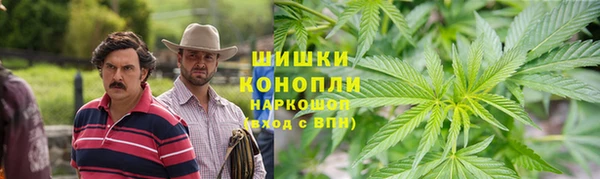 сатива Мегион