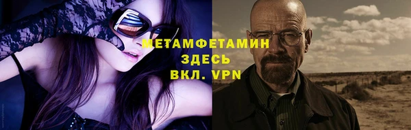 прущие грибы Медвежьегорск