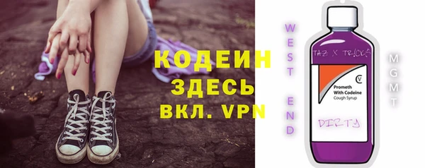 прущие грибы Медвежьегорск