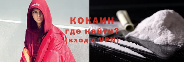 прущие грибы Медвежьегорск