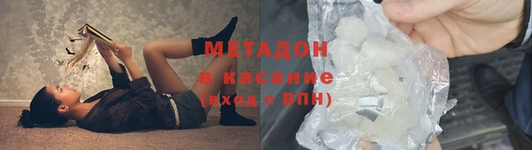 прущие грибы Медвежьегорск