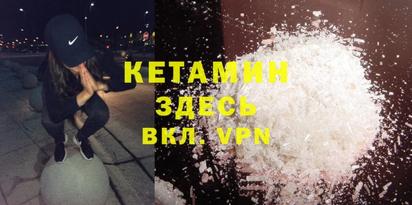 прущие грибы Медвежьегорск