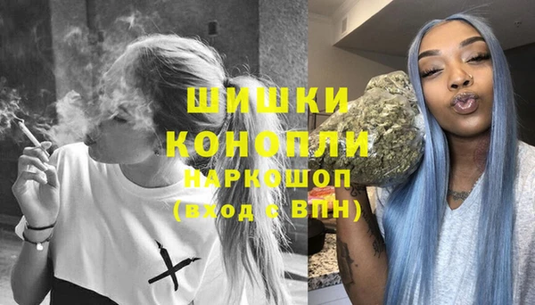 сатива Мегион