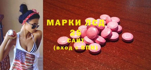 прущие грибы Медвежьегорск