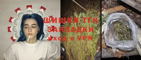 прущие грибы Пыталово