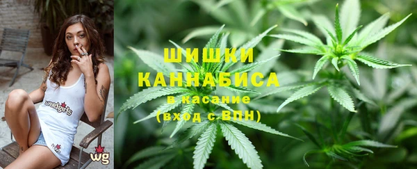 прущие грибы Медвежьегорск