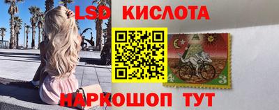ГАЛЛЮЦИНОГЕННЫЕ ГРИБЫ Гагарин