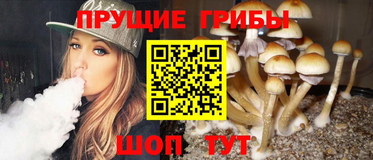 Псилоцибиновые грибы GOLDEN TEACHER Топки